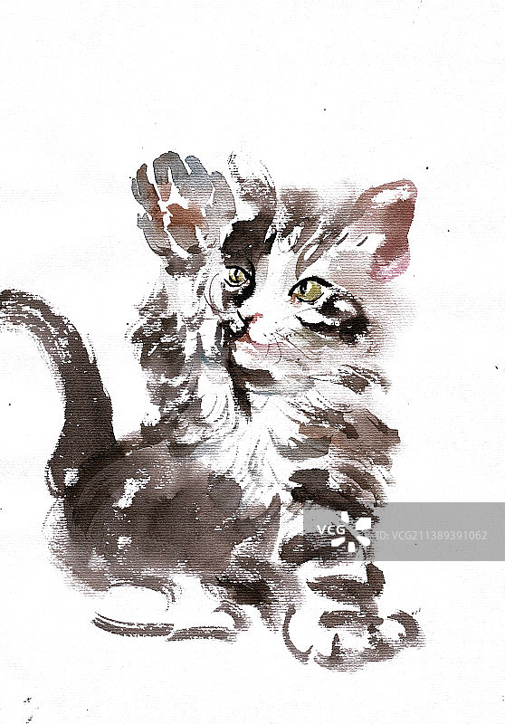 调皮的小猫图片素材