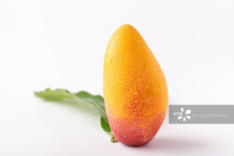 白底上的新鲜彩色芒果和芒果叶图片素材