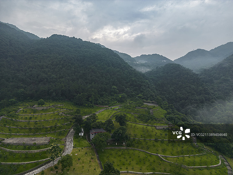 夏日雨后的重庆歌乐山国家森林公园图片素材