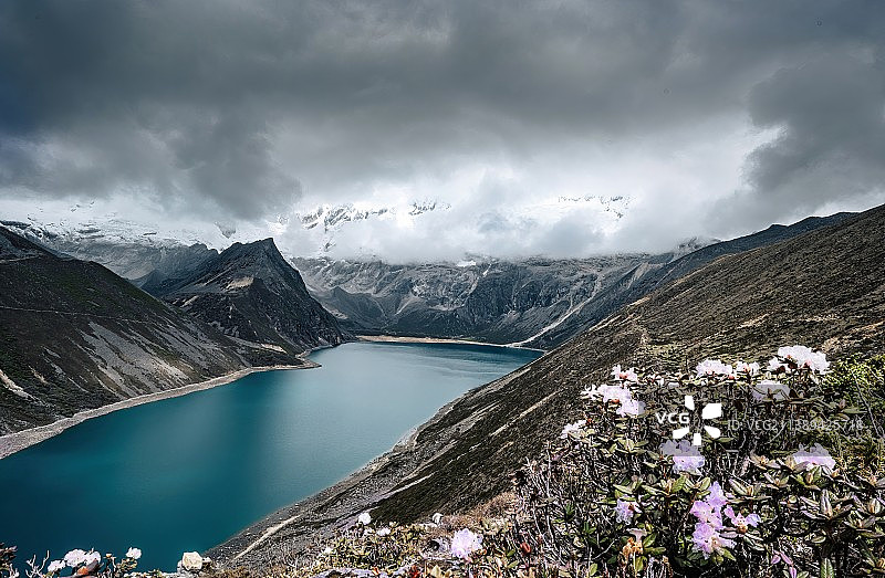 2022年5月23日在库拉岗日白马林错徒步途中所拍，这个季节的库拉岗日山坡上开满杜鹃花，非常壮观图片素材