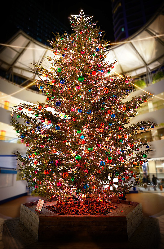 夜晚灯火通明的圣诞树特写图片素材