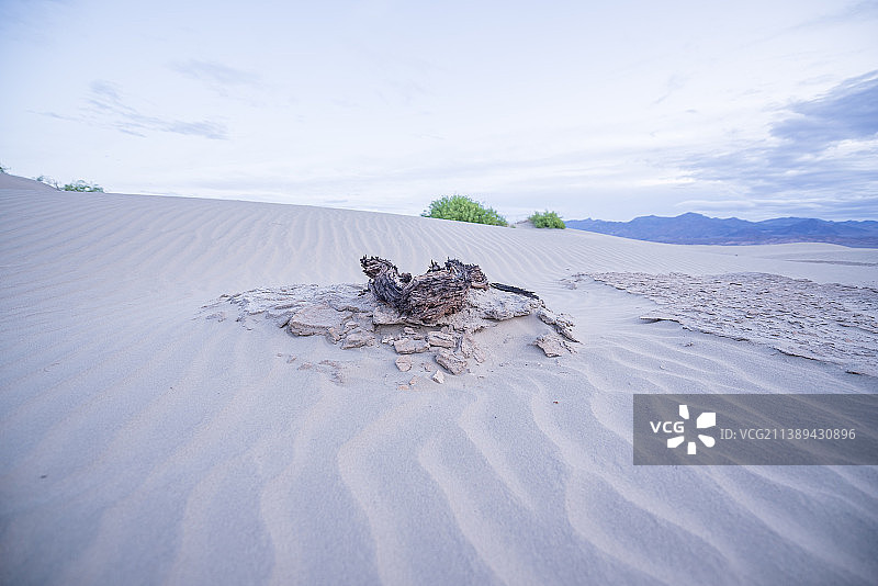 美国梅斯基特平原沙丘雪景风光图片素材