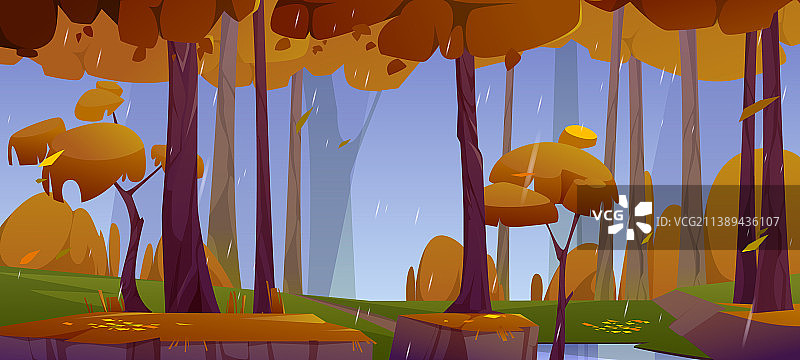 秋季森林的雨与落叶图片素材