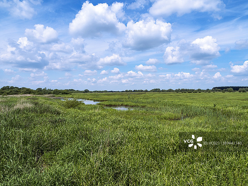 北约克郡惠尔德雷克英斯自然保护区的潮湿草地图片素材