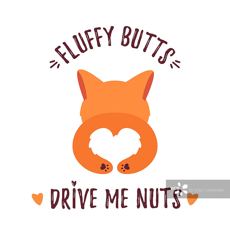 可爱的柯基犬屁股图片素材