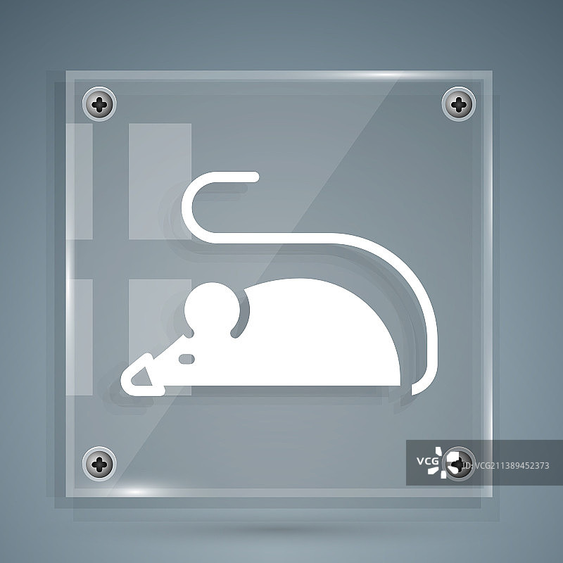 灰色背景上的白色实验鼠标图标图片素材