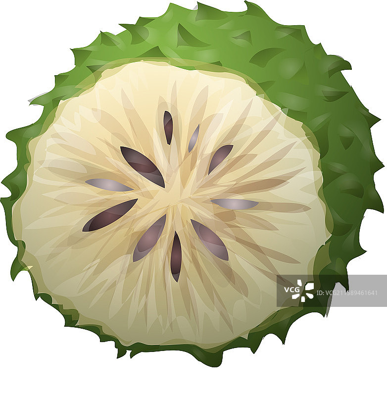 刺果番荔枝图标（卡通风格，含新鲜榴莲）图片素材