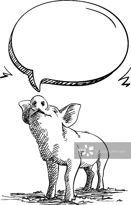 猪嗅着手绘的语音气泡素描图片素材