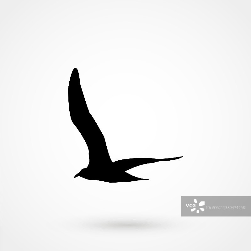 飞翔海鸥鸟类黑色剪影图片素材
