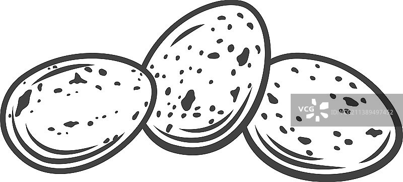 三个完整的鹌鹑蛋轮廓图片素材