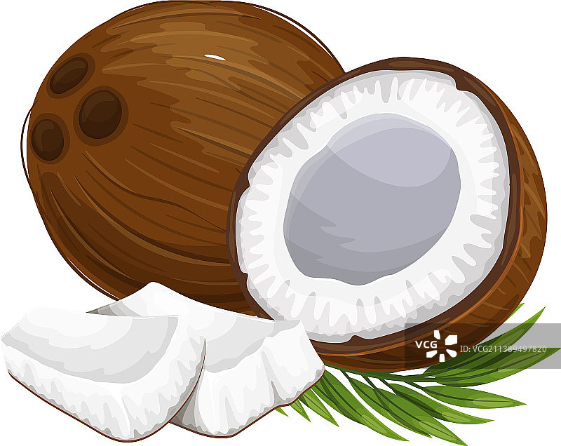 完整椰子、半个椰子和椰子块图片素材