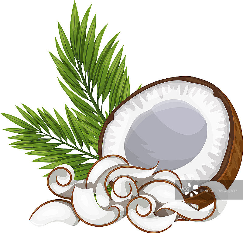 椰子丝和半个椰子图片素材