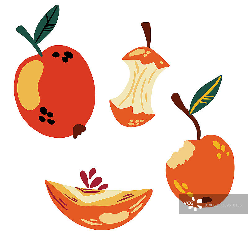 苹果集合：白色背景上的苹果素描图片素材