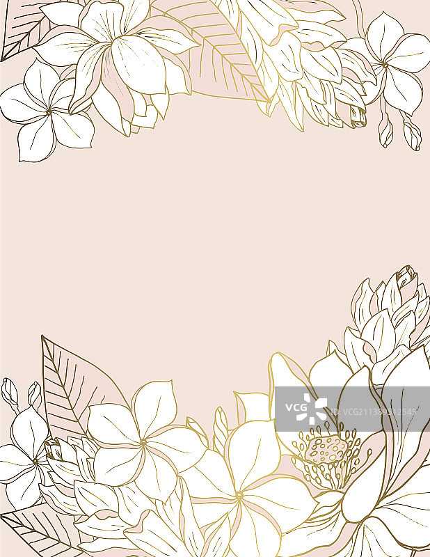 带有莲花和鸡蛋花的优雅背景设计图片素材