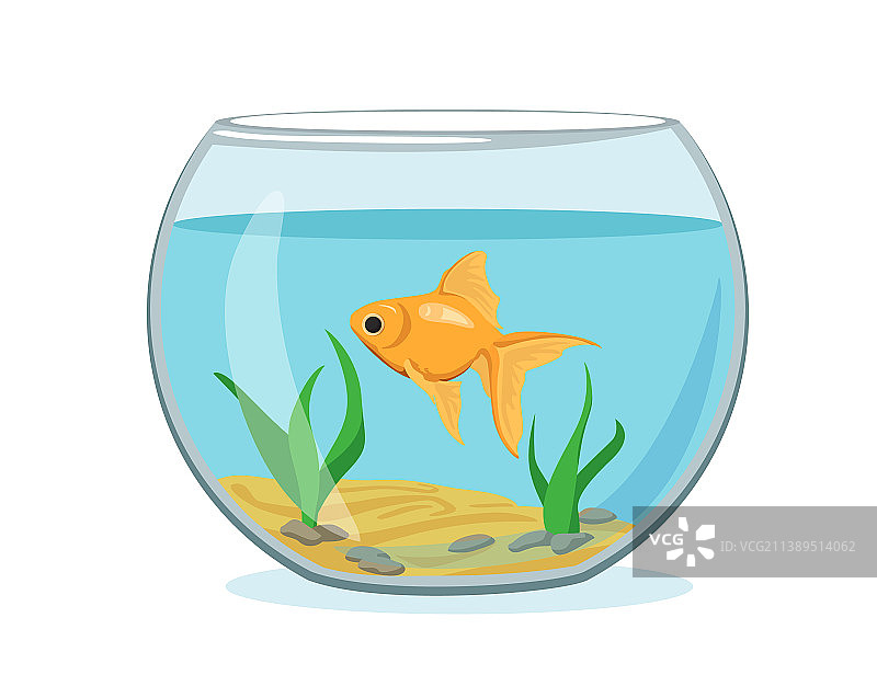 有金鱼的水族箱图片素材