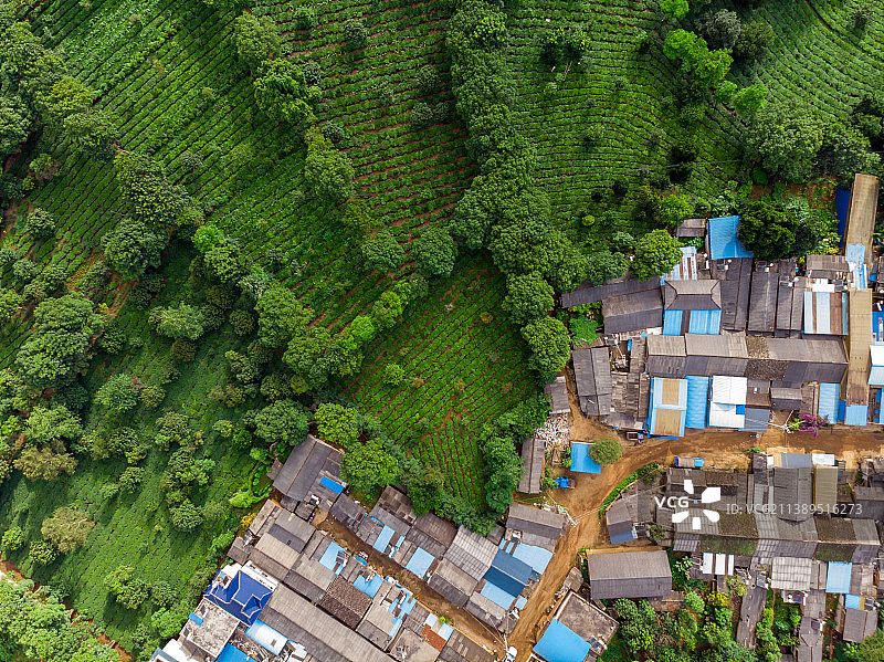 云南普洱澜沧景迈山茶园村寨图片素材