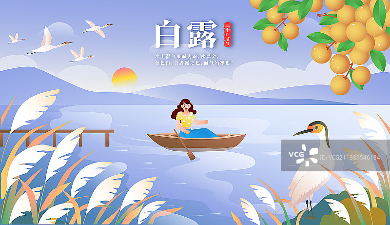 二十节气之秋季白露湖边芦苇荡图片素材