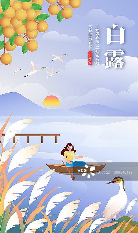 二十节气之秋季白露湖边芦苇荡图片素材