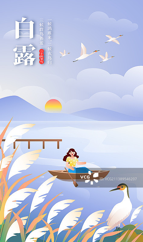 二十节气之秋季白露湖边芦苇荡图片素材