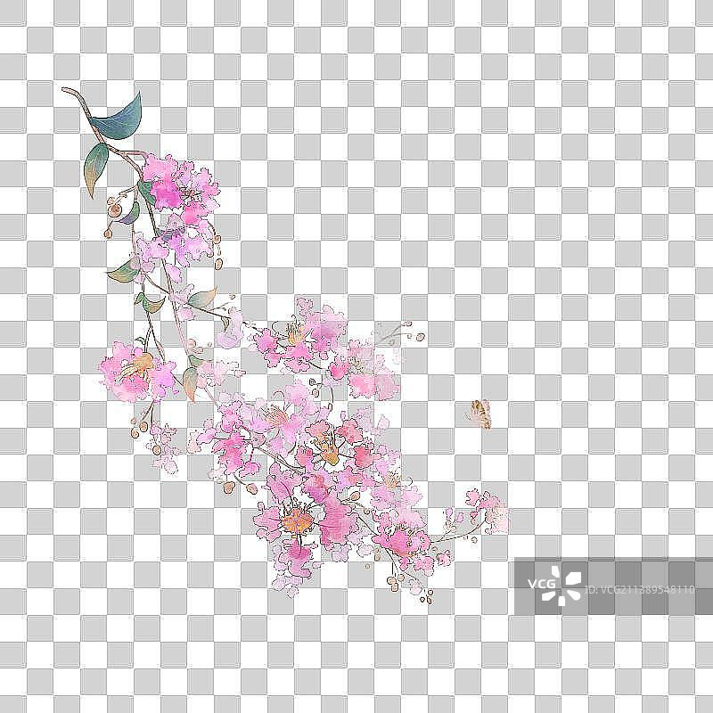 紫薇花图片素材