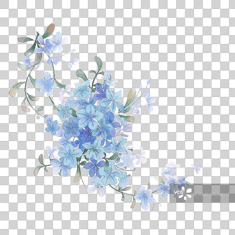 雪兰花图片素材