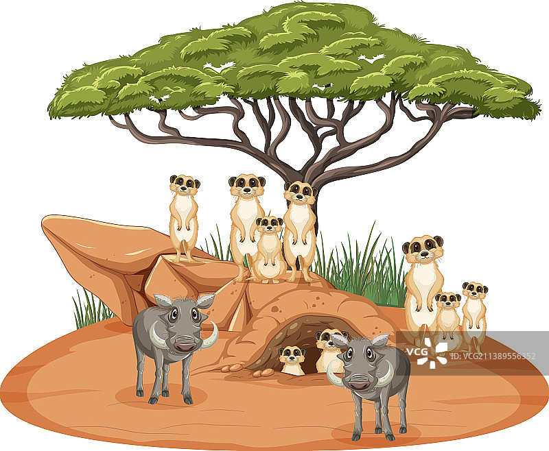 猫鼬和野猪的稀树草原森林图片素材