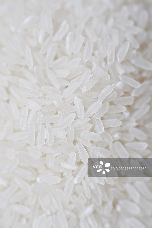 白色背景下的大米图片素材