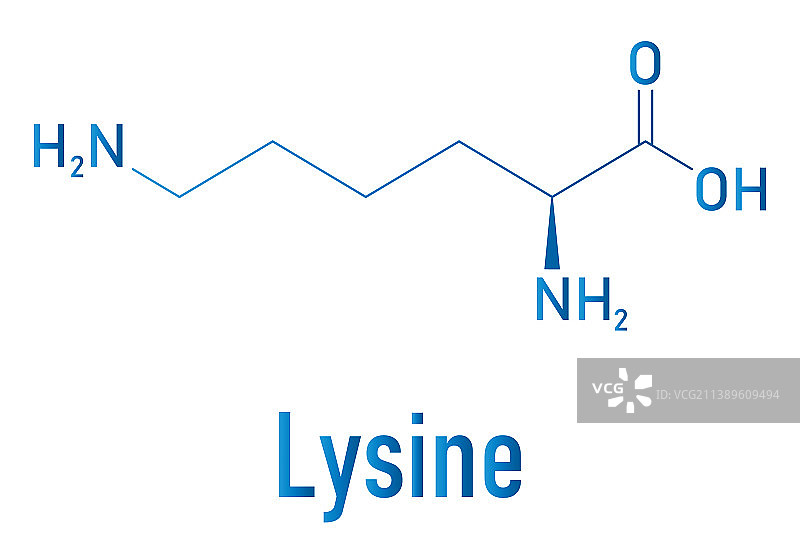 赖氨酸氨基酸分子骨架公式图片素材