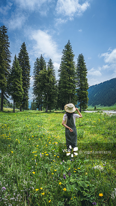 唐布拉图片素材