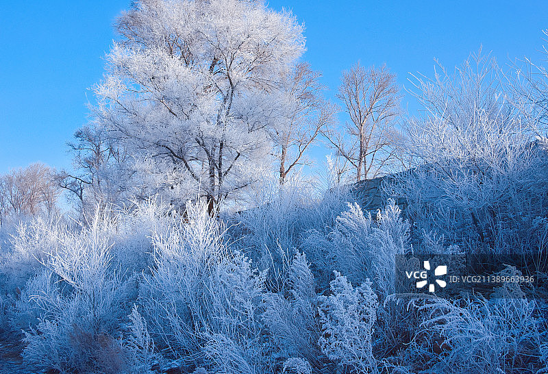 吉兆-吉林雾凇岛图片素材