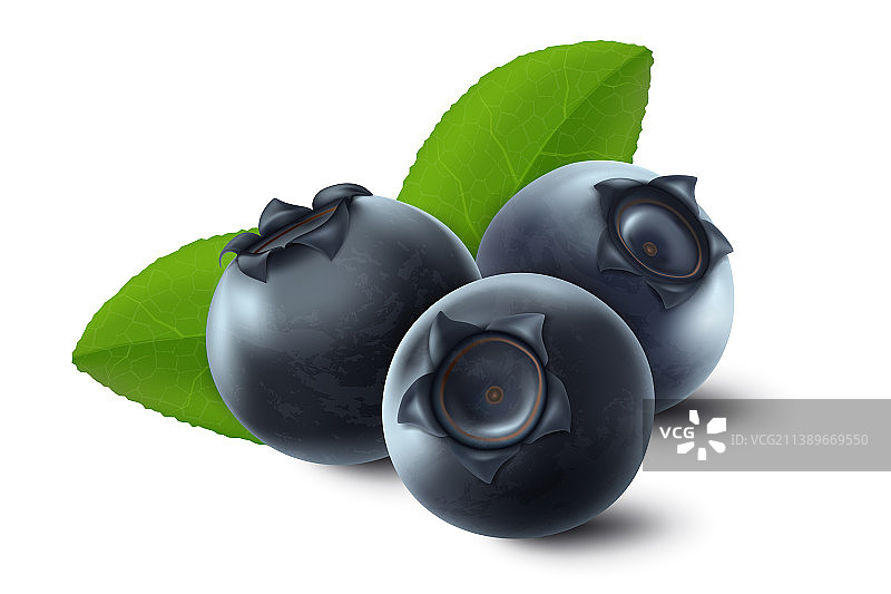 带有绿叶的3D逼真生蓝莓图片素材