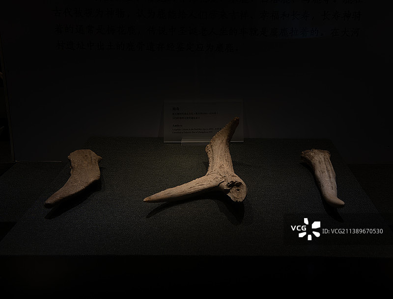 郑州大河村遗址出土文物----兽骨图片素材