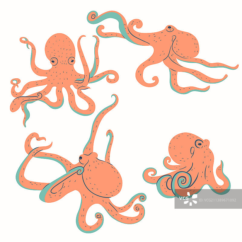 一组白色背景章鱼图片素材