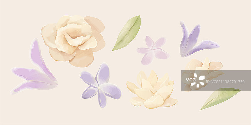 淡彩手绘花朵集合图片素材