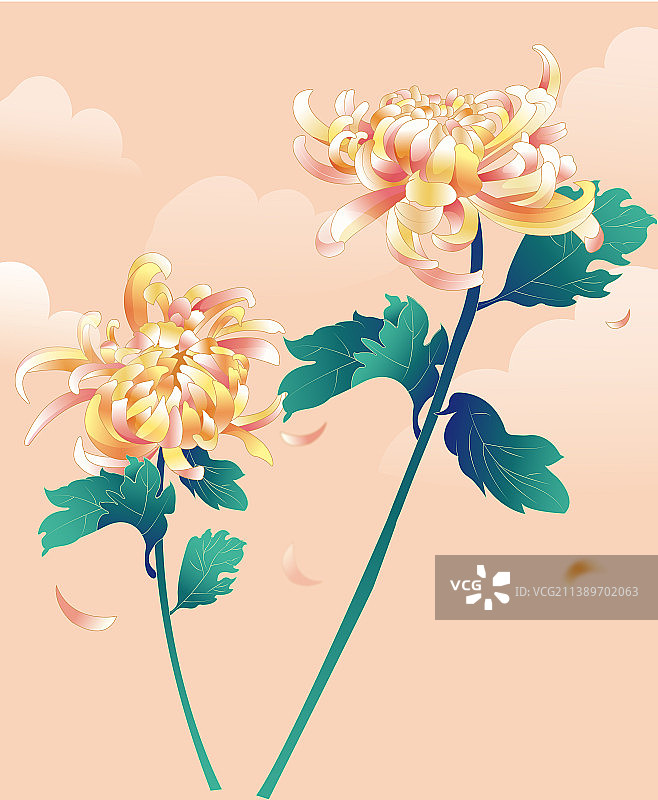 文创插画 菊图片素材