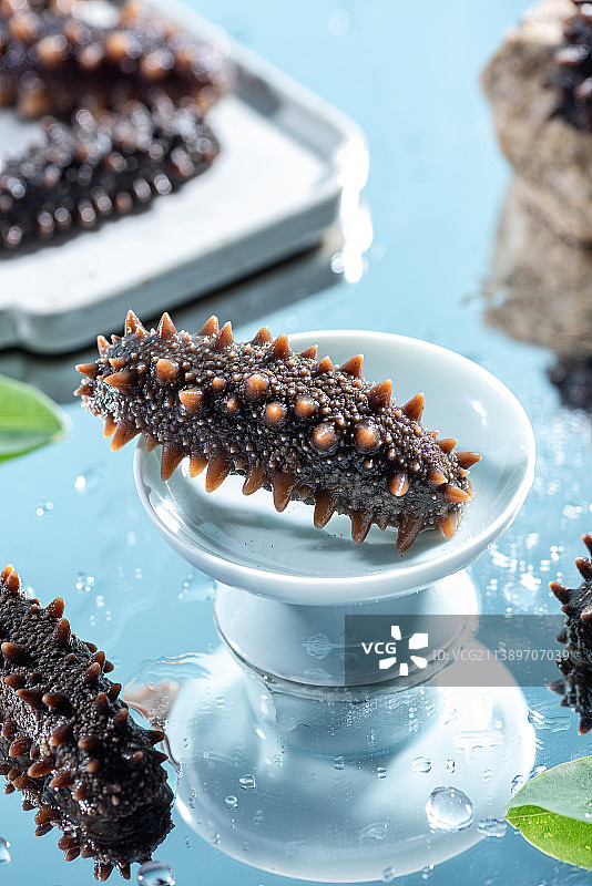 碟子里的海参特写清新纯色蓝色背景图片素材