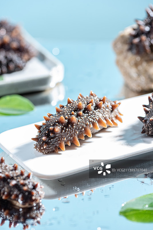 碟子里的海参特写清新纯色蓝色背景图片素材