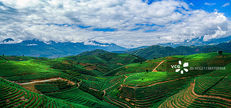 云南高山甘蔗梯田图片素材
