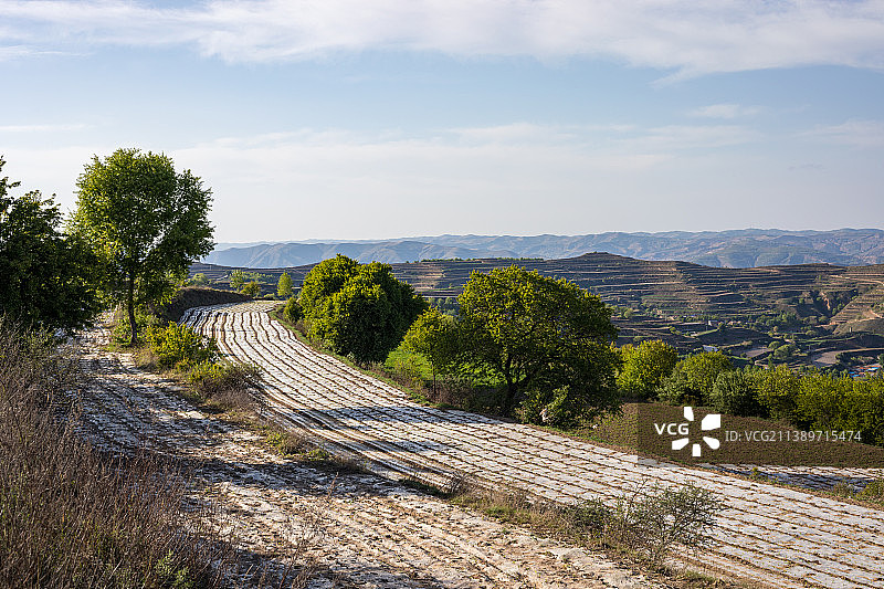 披上绿装的黄土高原图片素材