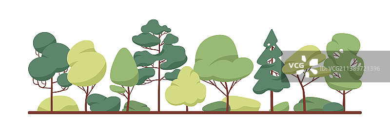 绿色树木森林树叶和针叶树图片素材