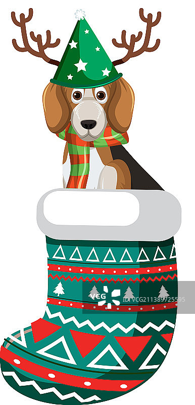 卡通圣诞袜中的比格犬图片素材