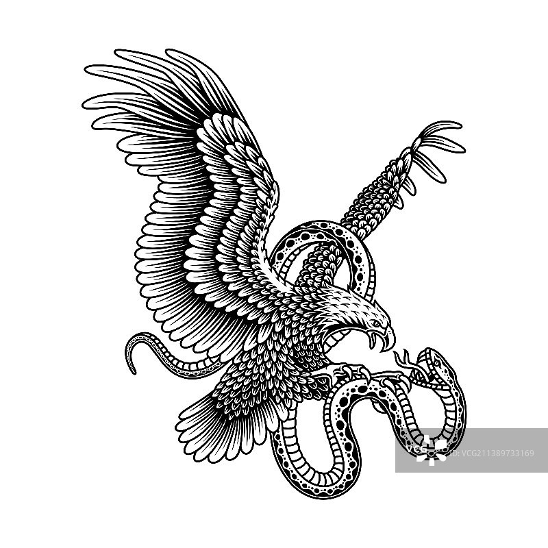 老鹰与蛇搏斗图案图片素材