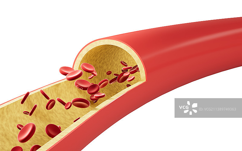 血管中的红细胞3D渲染图片素材