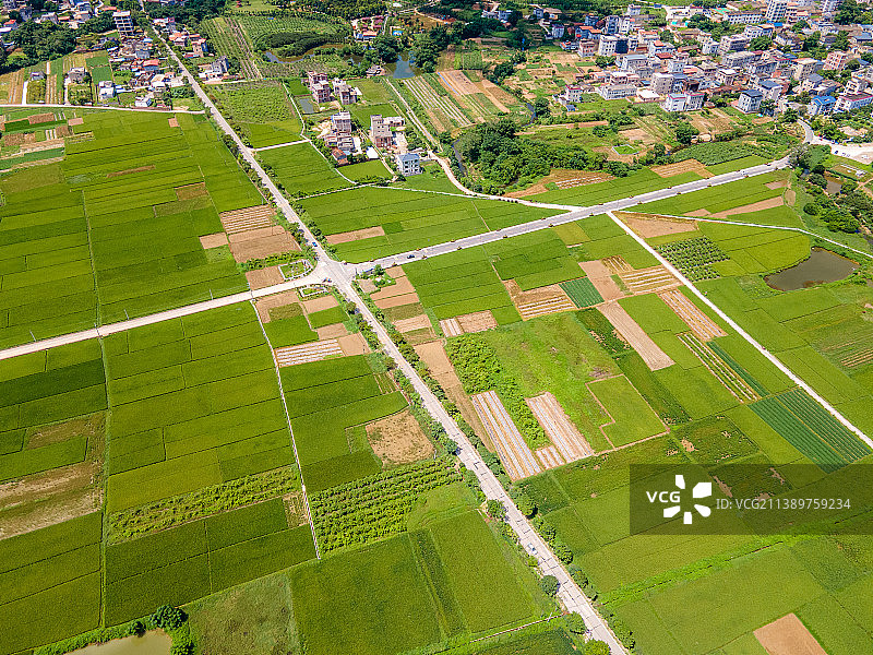 广东省惠州市墨园村乡村振兴自然风光航拍图片素材