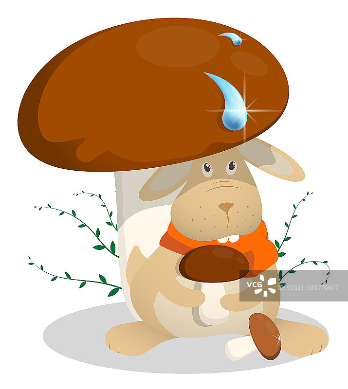 小兔子坐在大牛肝菌下图片素材