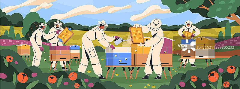 蜂场的养蜂人操作蜂箱和蜂蜜图片素材