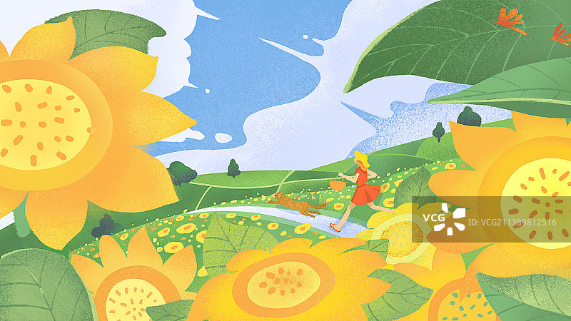 夏天的向日葵花海图片素材