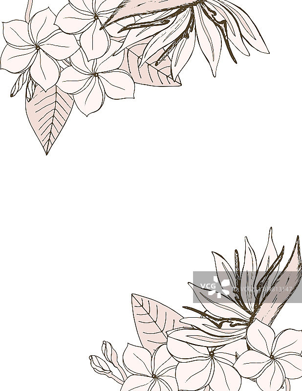 奢华热带花卉背景设计图片素材