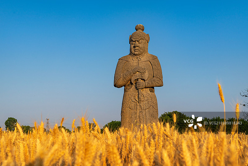 河南郑州巩义市宋陵永泰陵（北宋第七位皇帝哲宗赵煦陵墓）石像生与成熟的麦田夏季风光（镇陵将军）图片素材