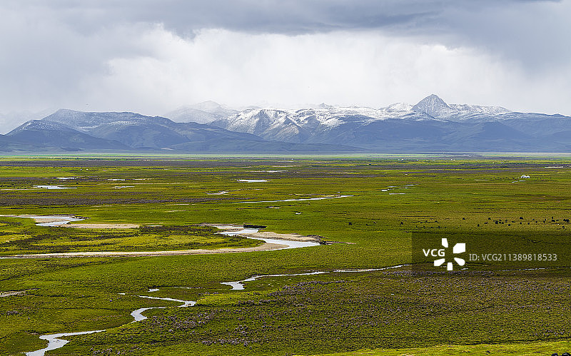 青藏高原之理塘图片素材